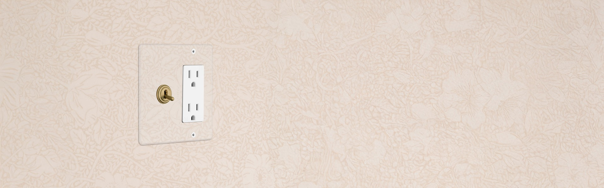 A white electrical outlet with two sockets and a brass light switch on a textured light beige wall with a floral pattern.
