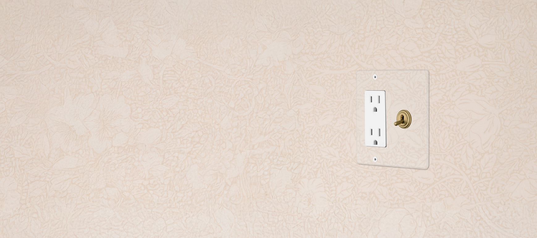 A white electrical outlet with two sockets and a brass light switch on a textured light beige wall with a floral pattern.
