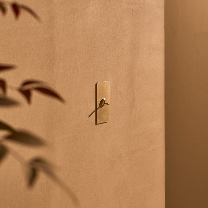 Close-up of a brass wall fixture on a smooth, beige wall, with soft shadows and a hint of green foliage in the foreground.