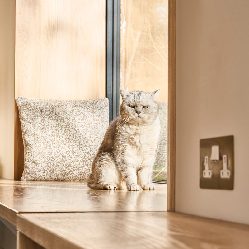 A gray cat sits on a wooden ledge, gazing out a window beside a patterned cushion, in a well-lit modern interior.