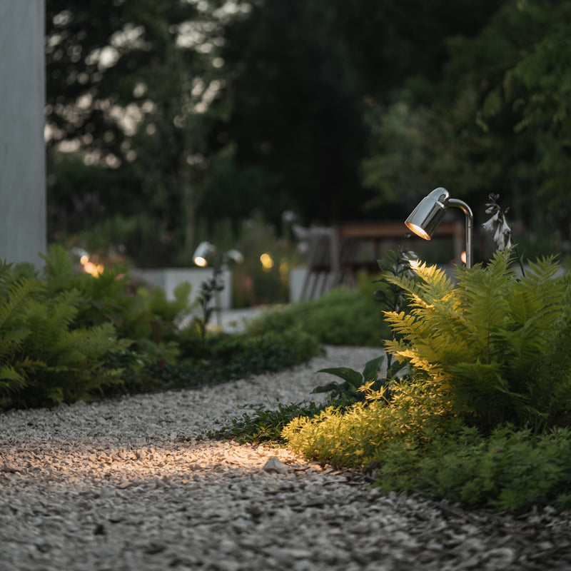 A serene garden path illuminated by soft lighting, lined with lush ferns and greenery, creating a peaceful evening ambiance.