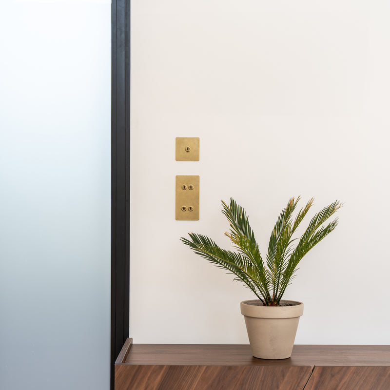 A stylish corner featuring a small potted plant on a wood shelf, next to two minimalistic gold wall switches against a light wall.
