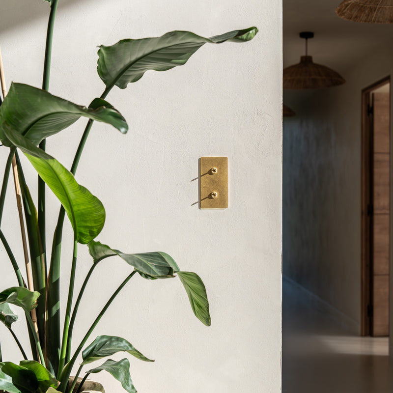A brass light switch mounted on a smooth, light-colored wall beside a lush green plant, creating a cozy, stylish interior scene.